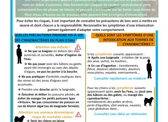 Cyanobactéries – Soyez vigilant