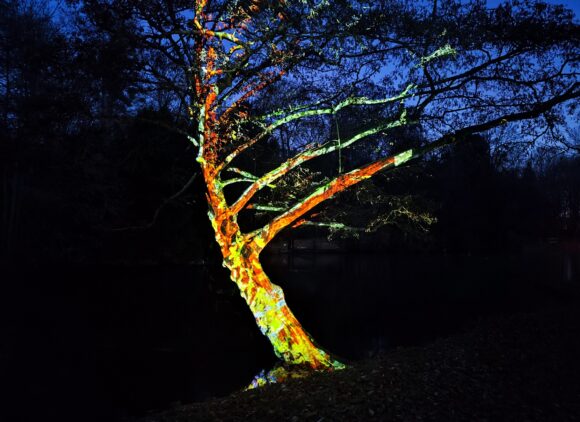 Le Jardin des Lumières en pause