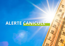Fortes chaleurs et canicule : Le CCAS et la Municipalité se mobilisent, soyons solidaires !