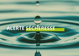 Arrêté sécheresse : passage en « Alerte Renforcée » à Cloyes les Trois Rivières