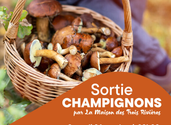 SORTIE CHAMPIGNONS