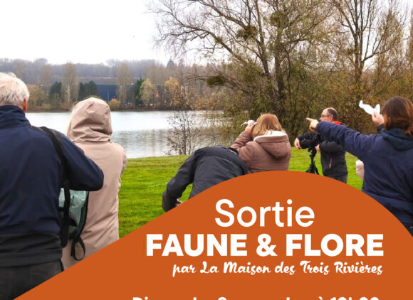 Sortie nature : faune et flore
